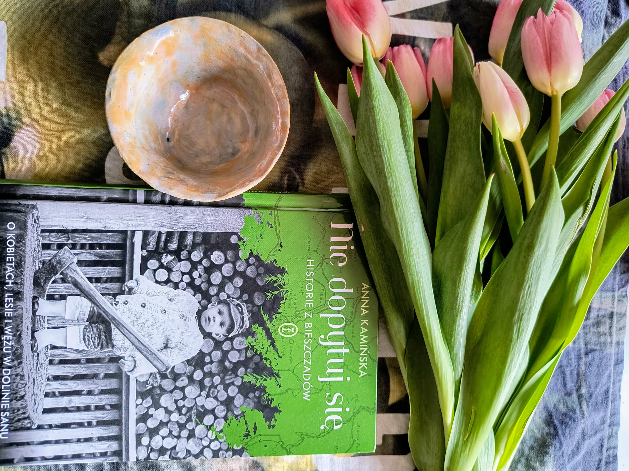 Anna Kamińska Nie dopytuj się. Historie z Bieszczadów. O kobietach, lesie i wężu w Dolinie Sanu